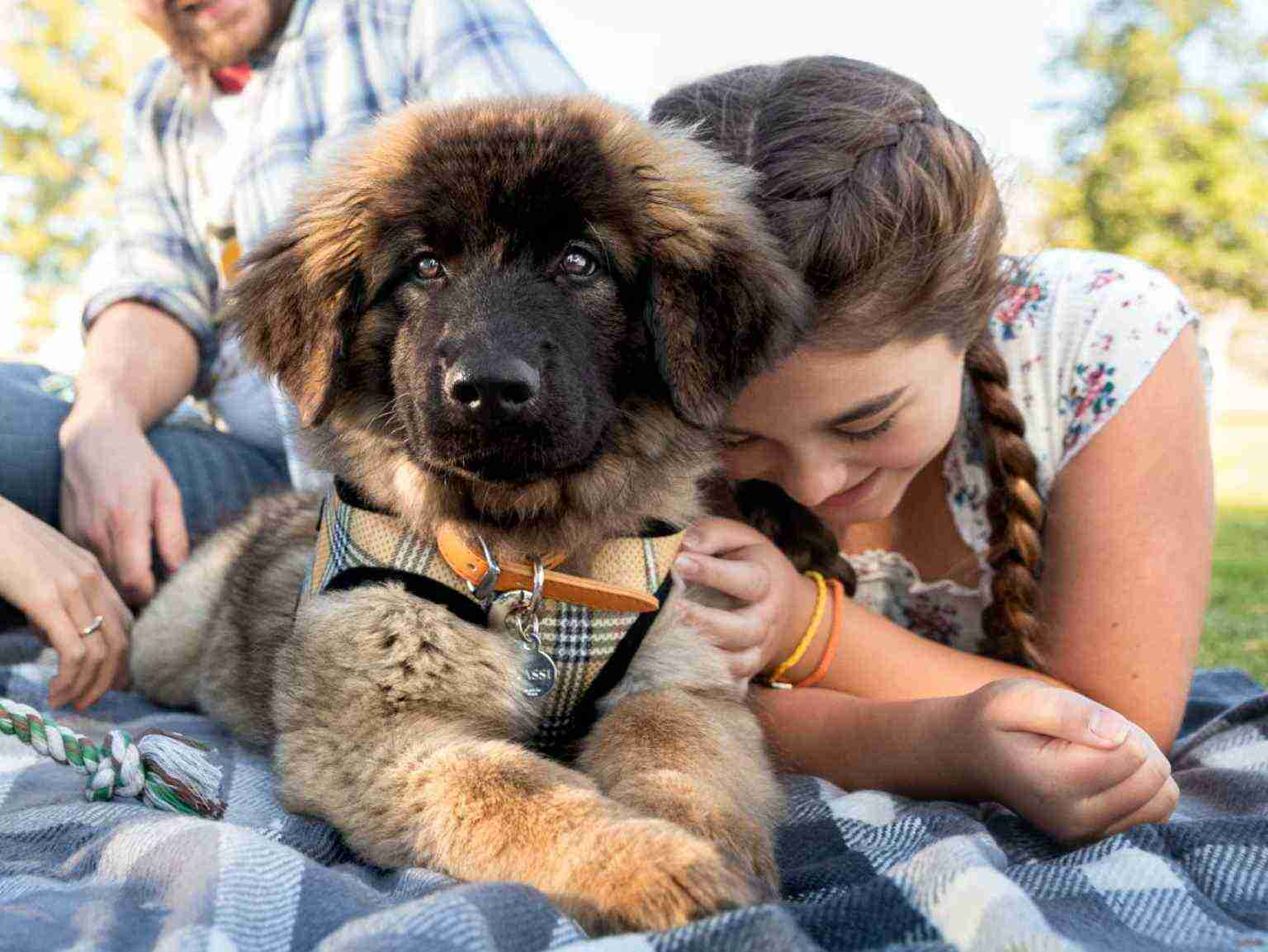A young girl leaning on her puppy in a park
