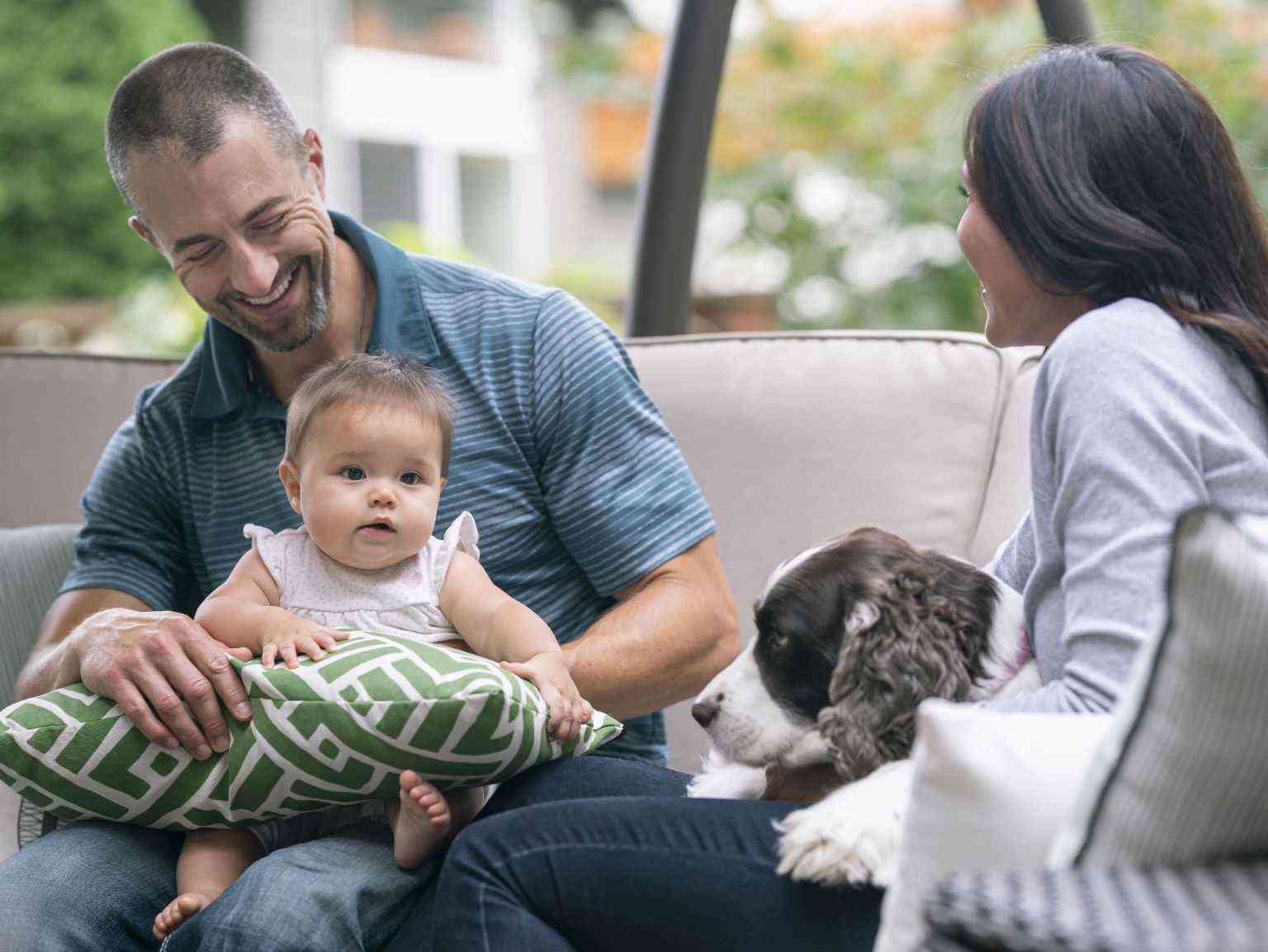 A puppy sniffing a baby