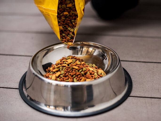 A silver bowl full of pet food