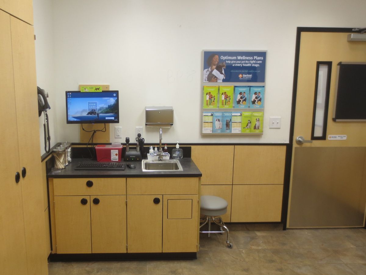Exam room of Banfield Pet Hospital: Pompano