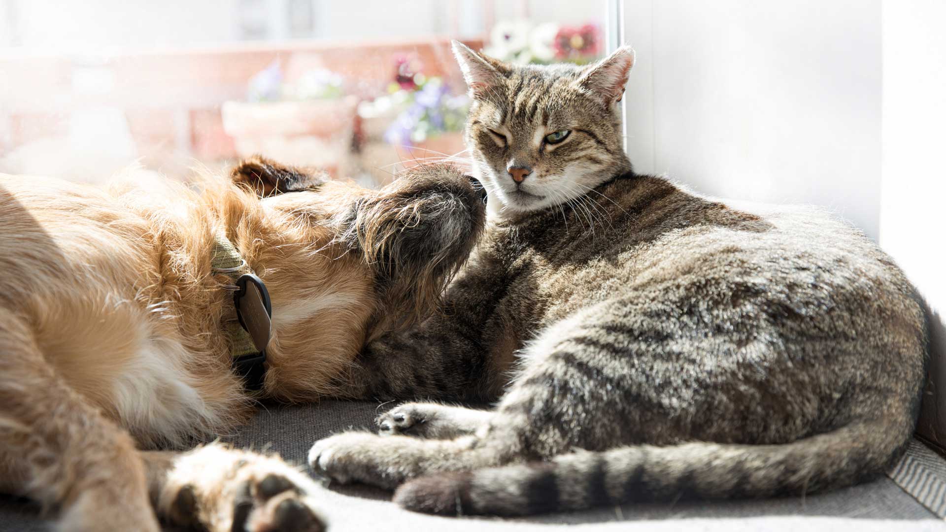20190325_001_1920x1080