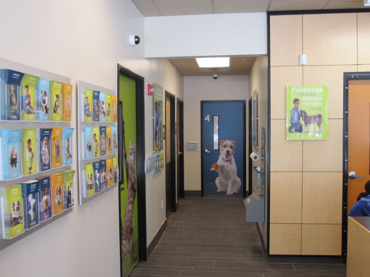 Lobby of Banfield Pet Hospital: Boca Village Square