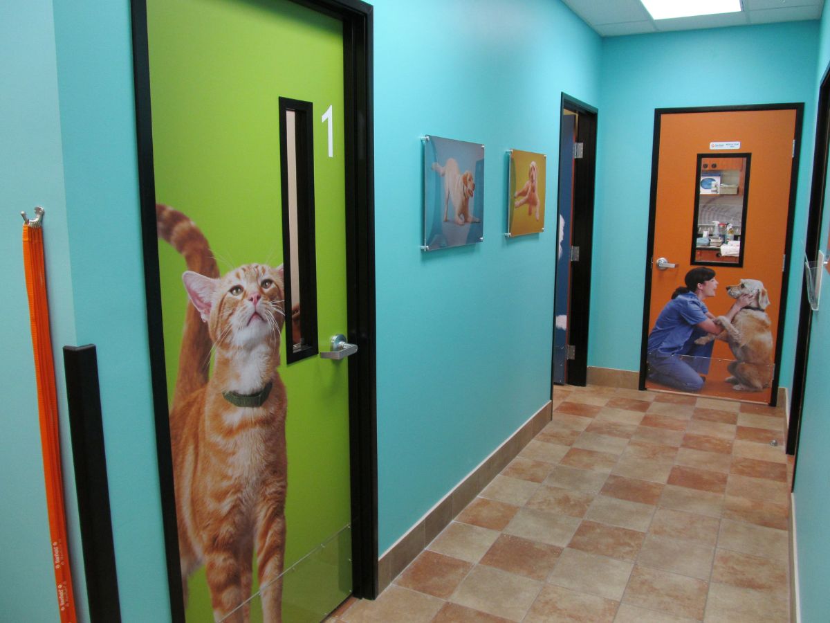 Lobby of Banfield Pet Hospital: West Palm Beach