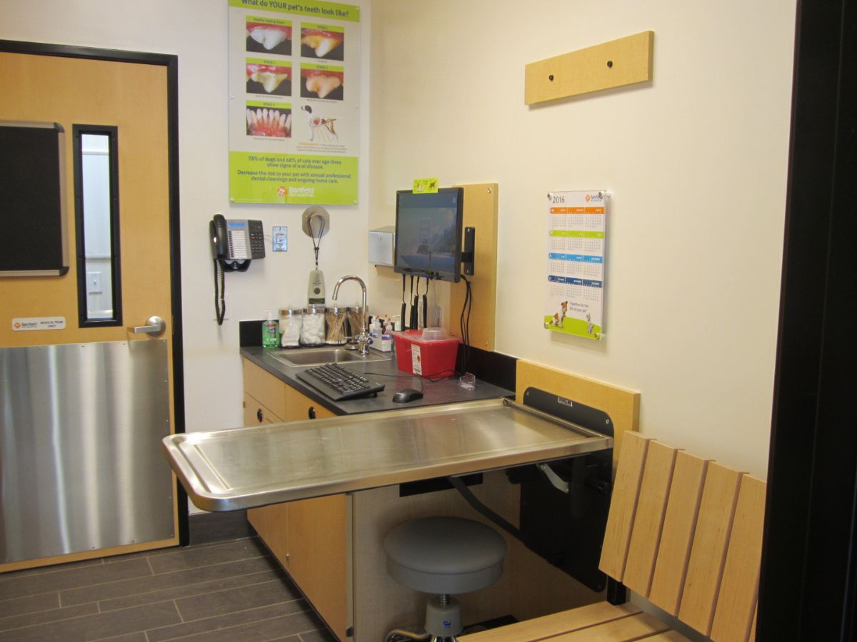 Exam room of Banfield Pet Hospital: Boca Village Square