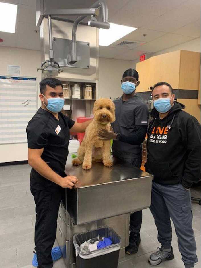 A couple of Banfield Associates, a dog owner, and his dog at the Banfield Pet Hospital