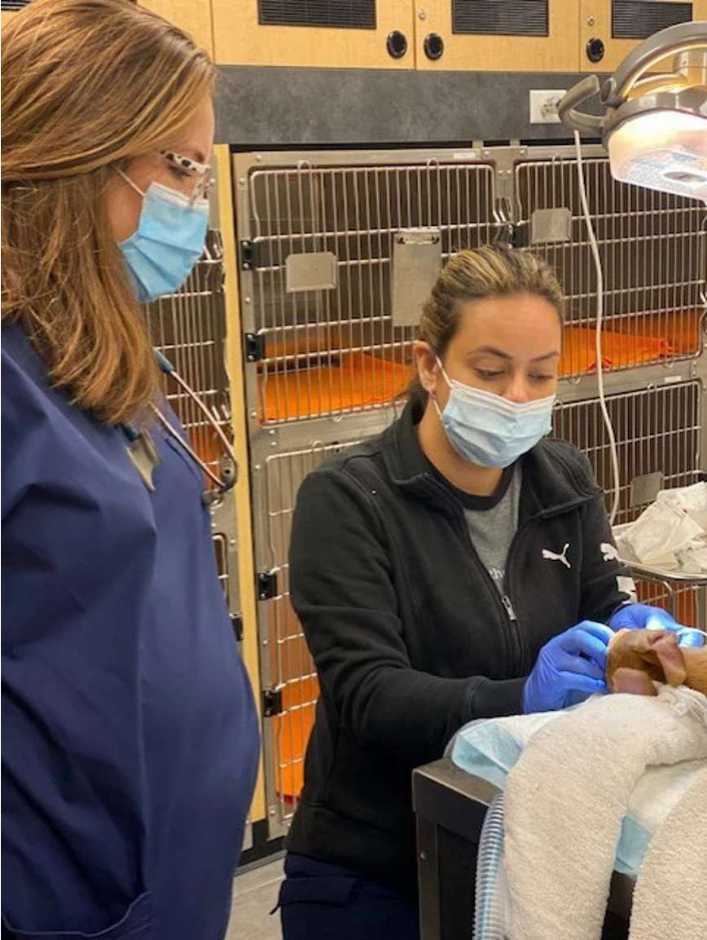 A couple of Banfield Associates at the Banfield Pet Hospital