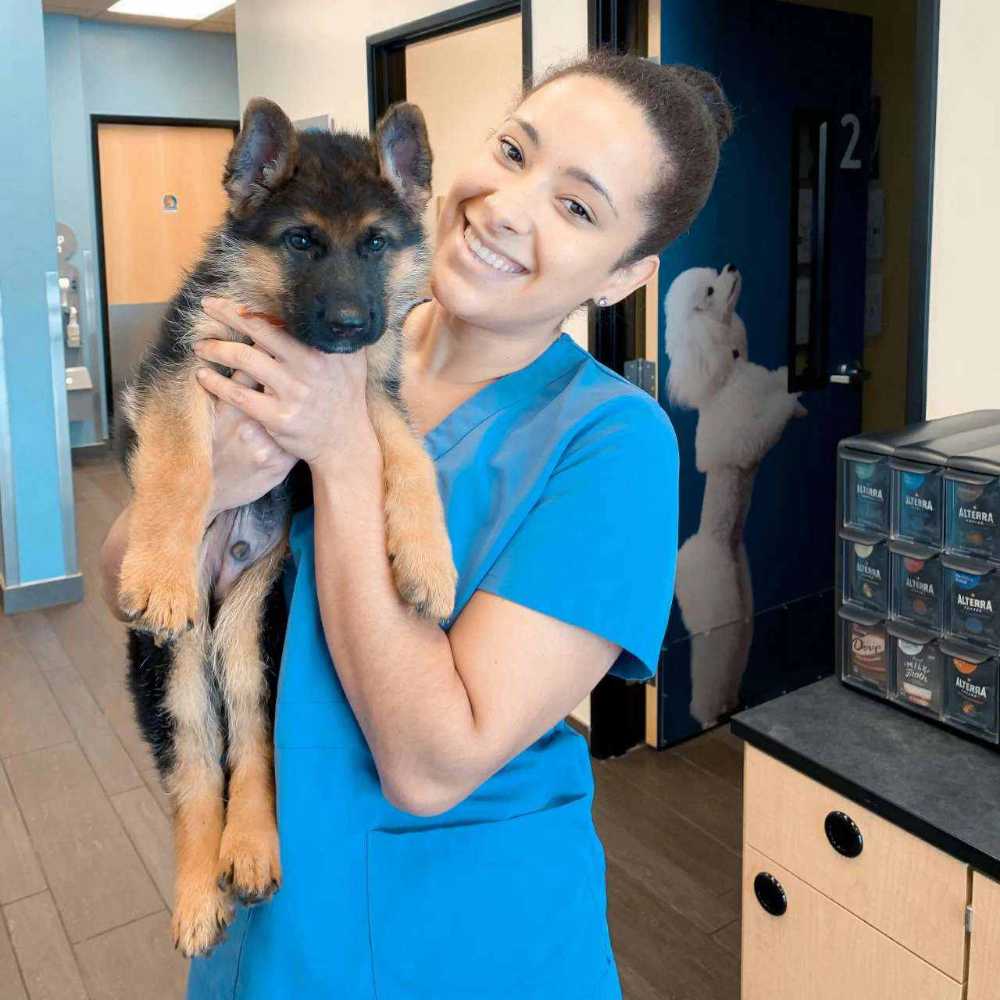 Profile picture of Stacie Sassine, Shift Lead