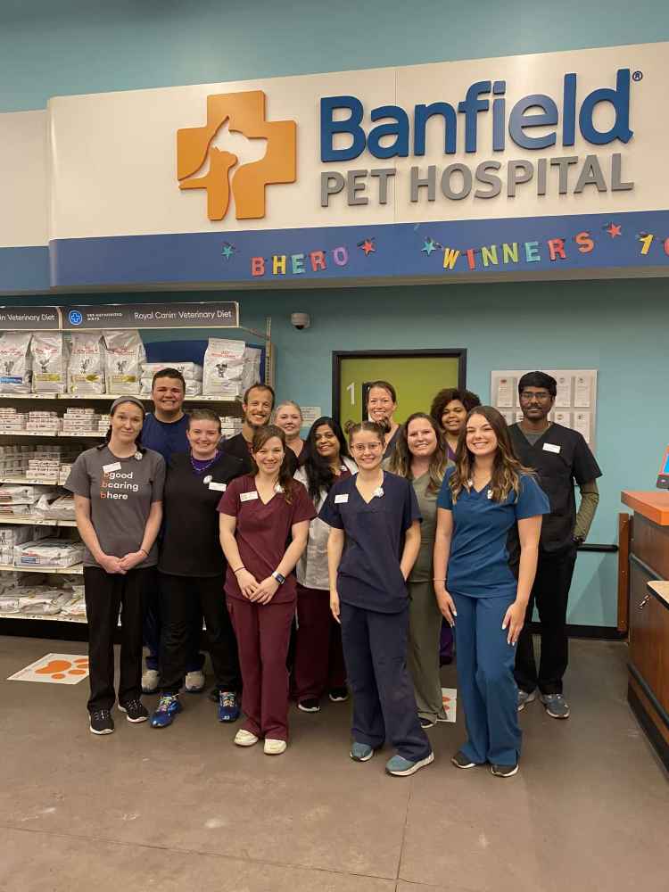 The staff posing inside of the Cumming hospital