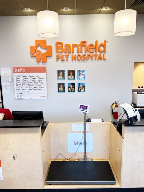 The reception area of Coon Rapids hospital