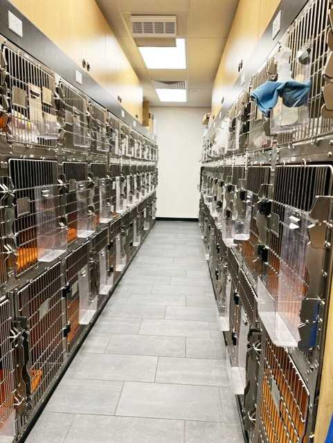 Canine Ward in the Coon Rapids hospital