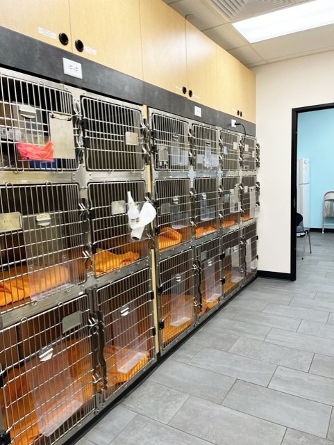The treatment hall of the Coon Rapids hospital