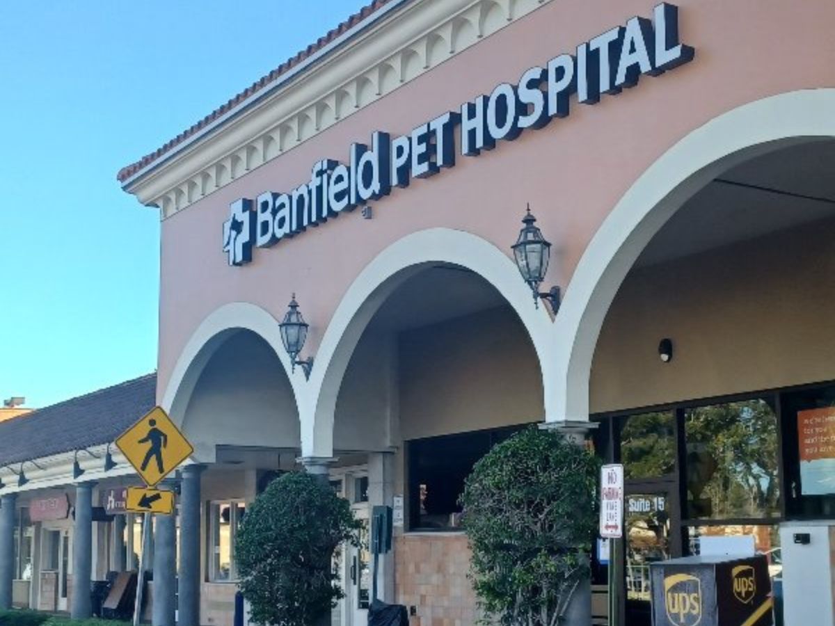 Entrance of Banfield Pet Hospital: Wellington