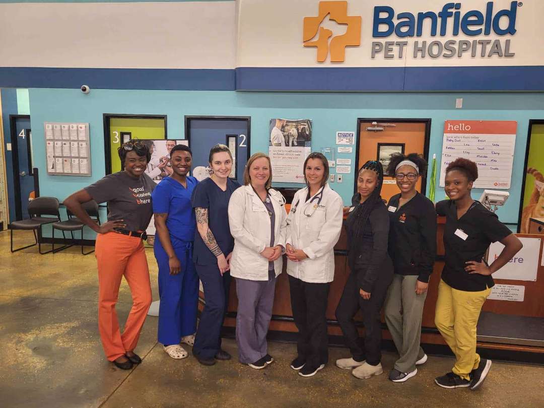The Elmwood hospital staff