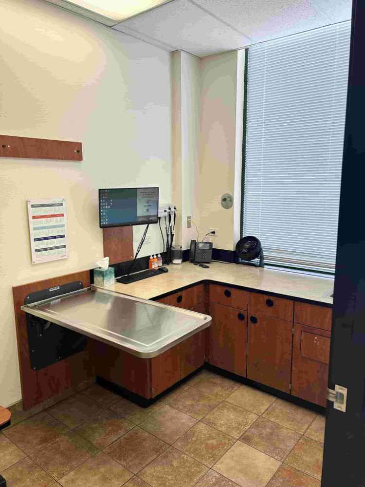 Hospital exam room photo at Banfield Bloomingdale 