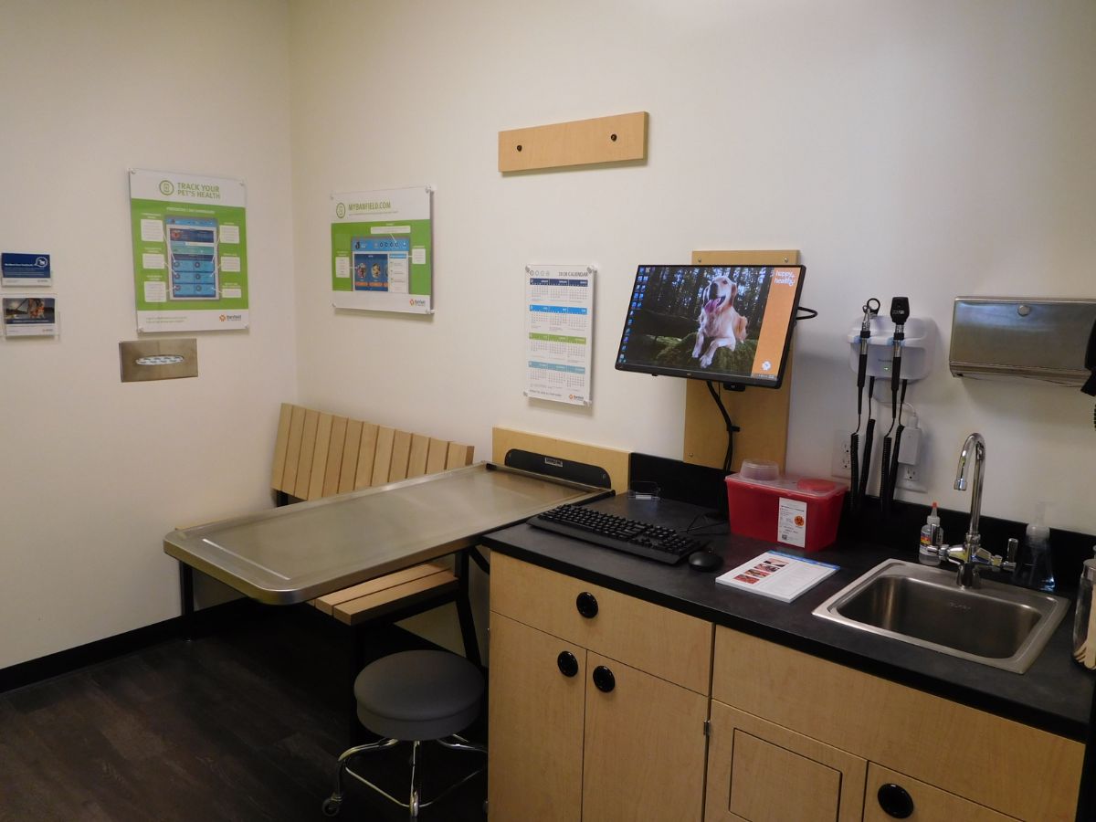 Exam room of Banfield Pet Hospital: Palm Springs FL