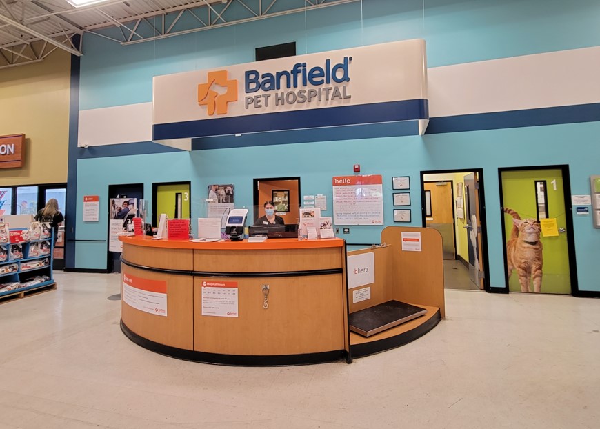 Front desk and exam room entrance