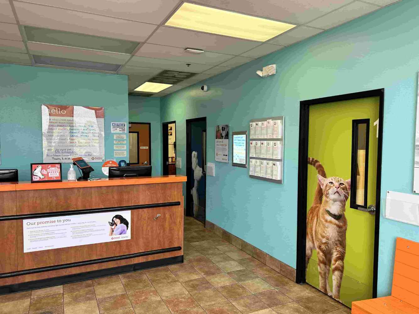 Hospital lobby photo at Banfield Bloomingdale 