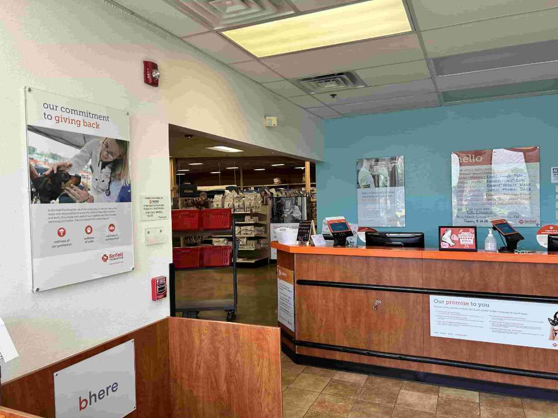 Hospital lobby photo at Banfield Bloomingdale 