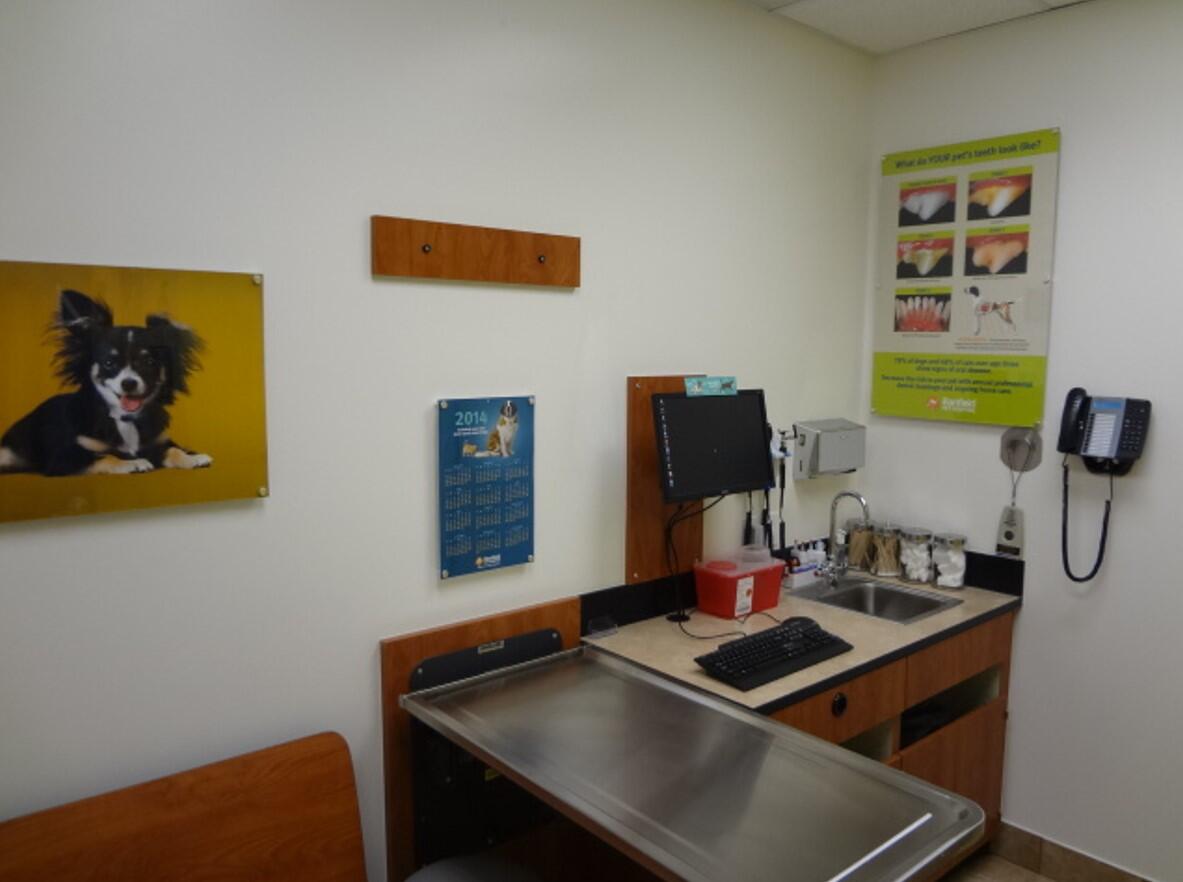 Banfield Pet Hospital: Oceanside N exam room