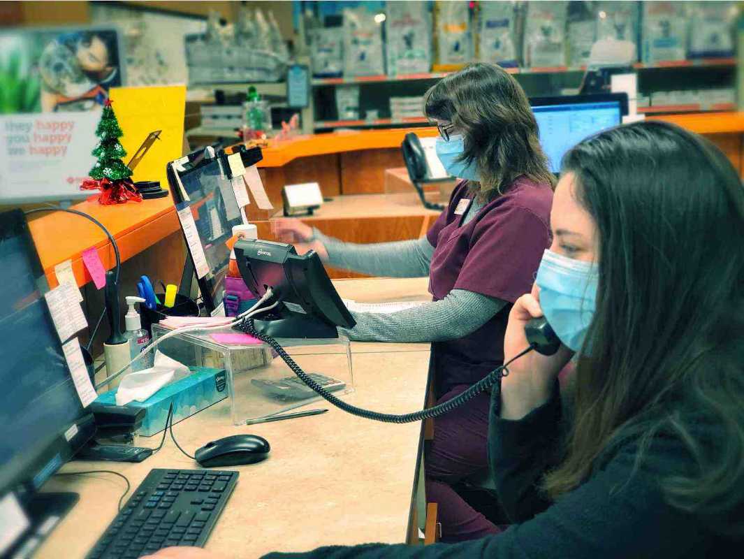 A couple of associates answering calls at the Banfield Pet Hospital