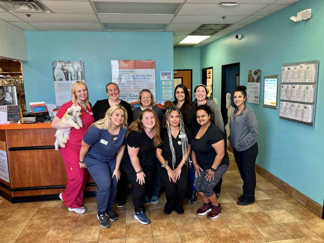 Group Associate photo at Banfield Bloomingdale 
