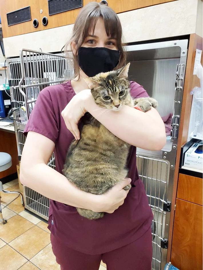 A young female Banfield Associate carrying a cat