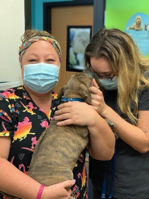Two female Banfield Associates with a dog