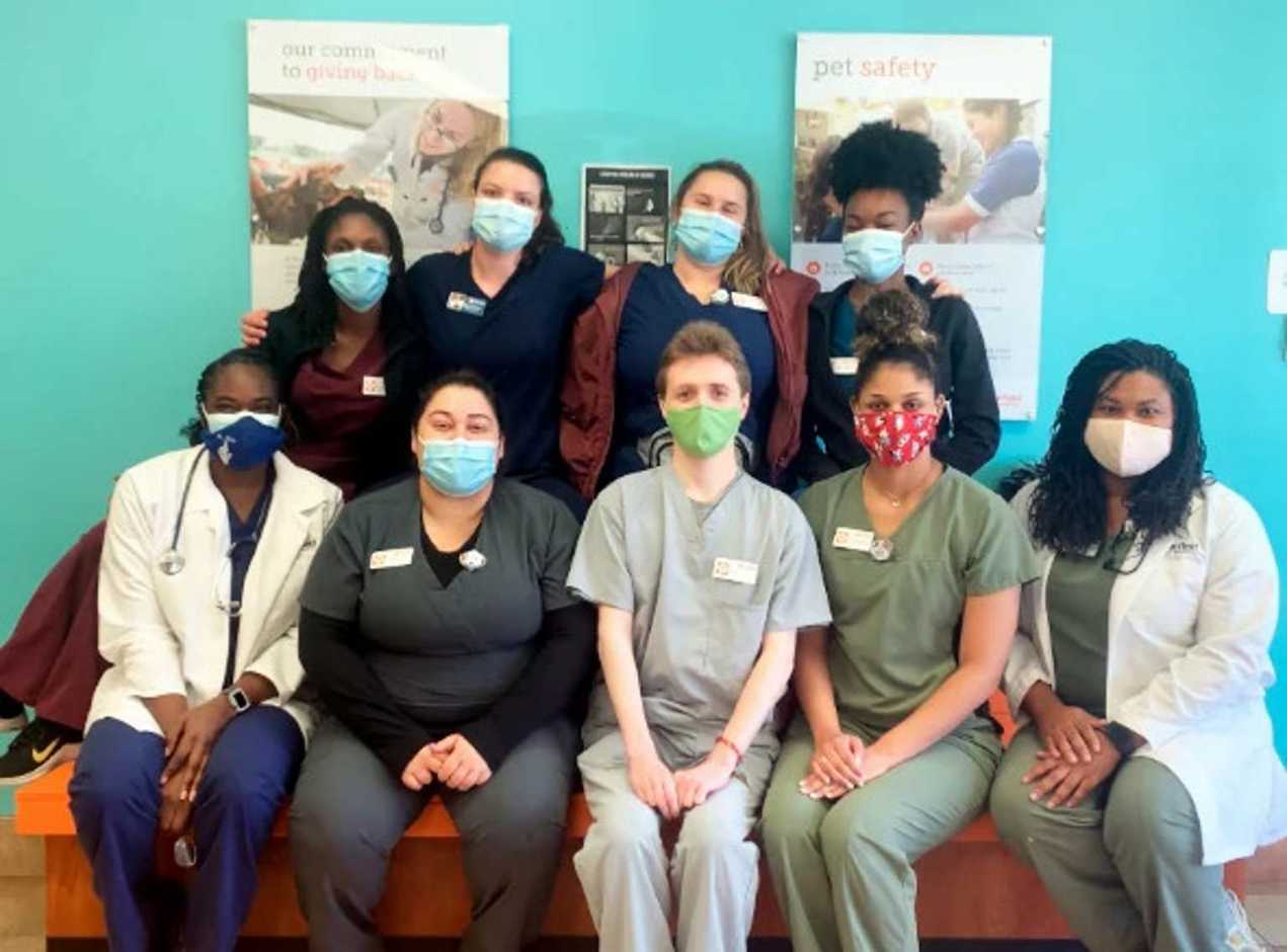 A group of Banfield Associates at the Banfield Pet Hospital
