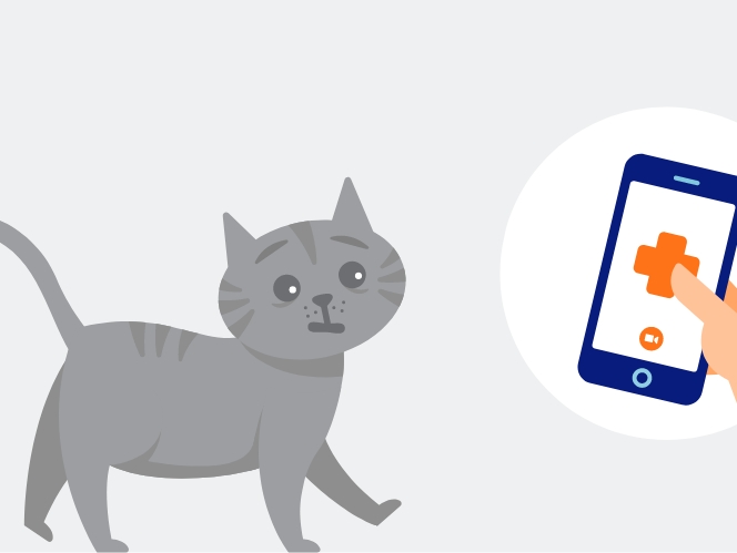 mobile app illustration