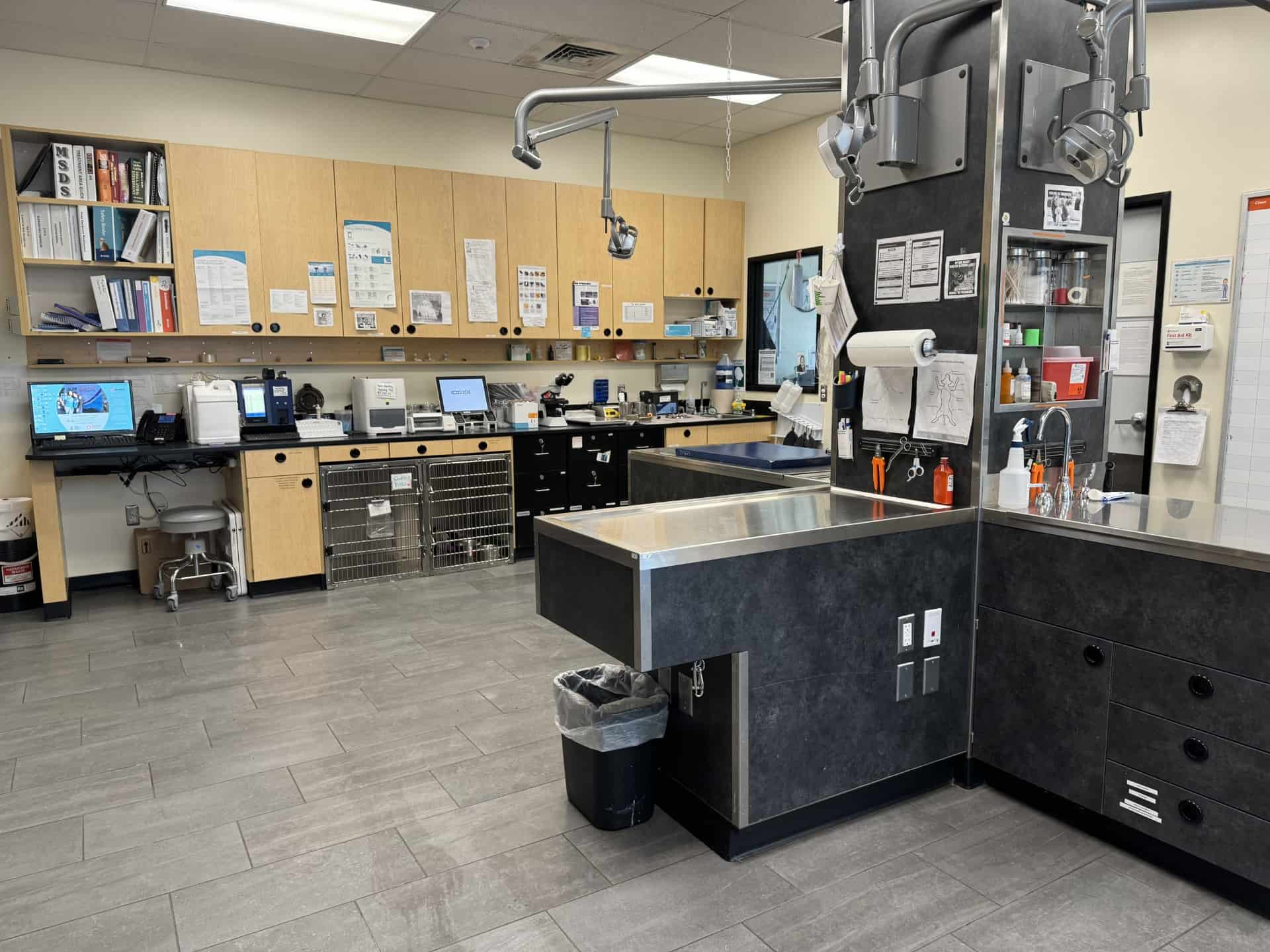 Exam room of Banfield Pet Hospital - Troy