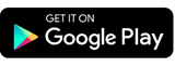 Google Play Store icon