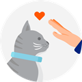 illustration of a cat getting love